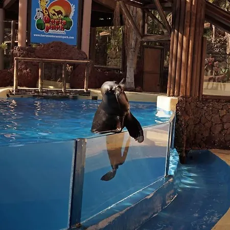 Flat Piatto Marianne Apartment Corralejo